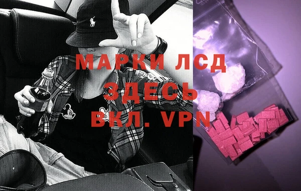 шишки Алзамай