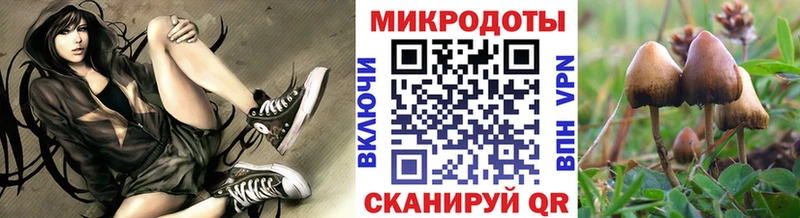 купить наркоту  Жуков  Псилоцибиновые грибы GOLDEN TEACHER 