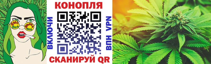 Конопля ГИДРОПОН  Жуков 